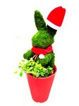 animal-topiary.jpg