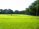 hanegi-park-baseball.jpg