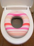 supporting-toilet-seat.jpg